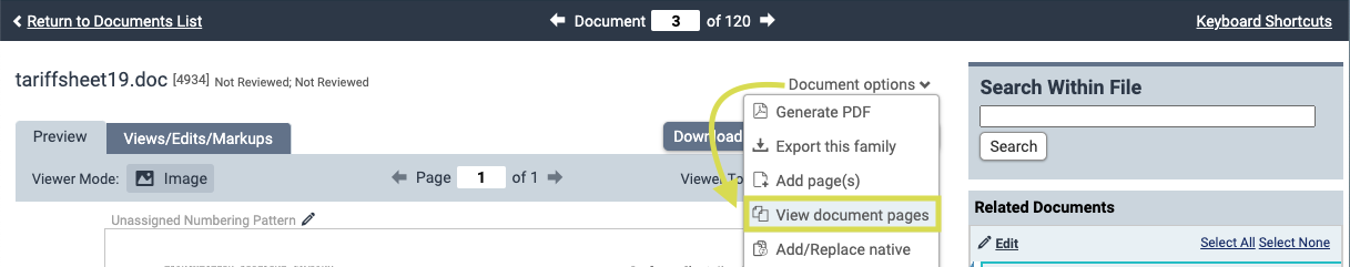 Review_Tracked_Changes_replacements_view_pages.png